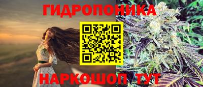 ГАЛЛЮЦИНОГЕННЫЕ ГРИБЫ Будённовск