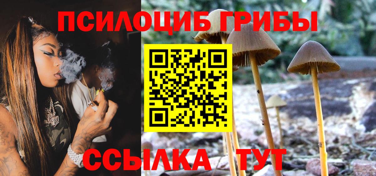 Галлюциногенные грибы GOLDEN TEACHER  Псилоцибиновые грибы мицелий  Ялуторовск  Вход с VPN 