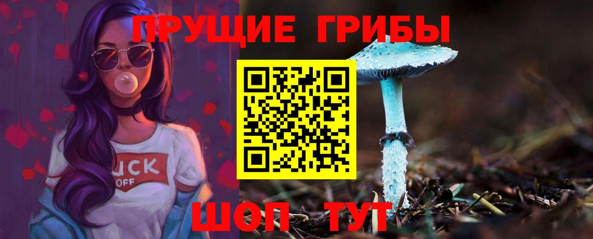 Псилоцибиновые грибы GOLDEN TEACHER Ялуторовск
